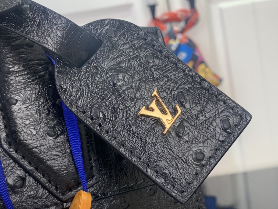 Louis Vuitton Basic Bag Cow Leather Black M-l-s