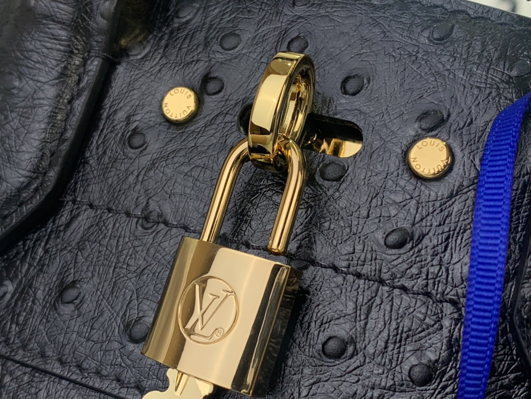 Louis Vuitton Basic Bag Cow Leather Black M-l-s