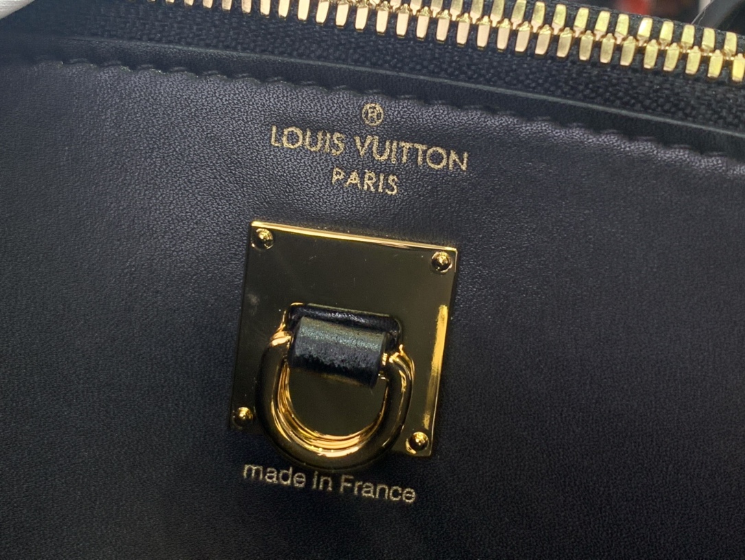 Louis Vuitton Basic Bag Cow Leather Black M-l-s