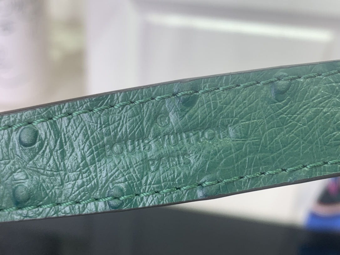 Louis Vuitton Basic Bag Cow Leather Green M-l-s