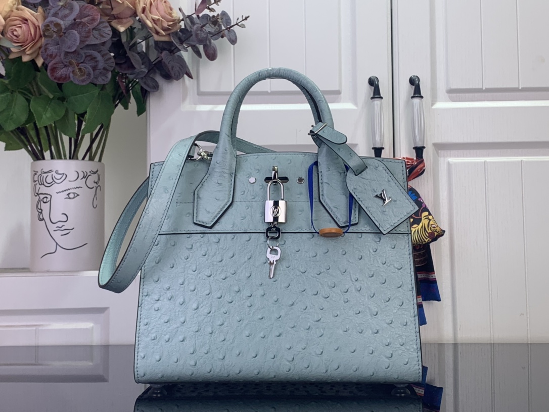 Louis Vuitton Basic Bag Cow Leather Blue M-l-s