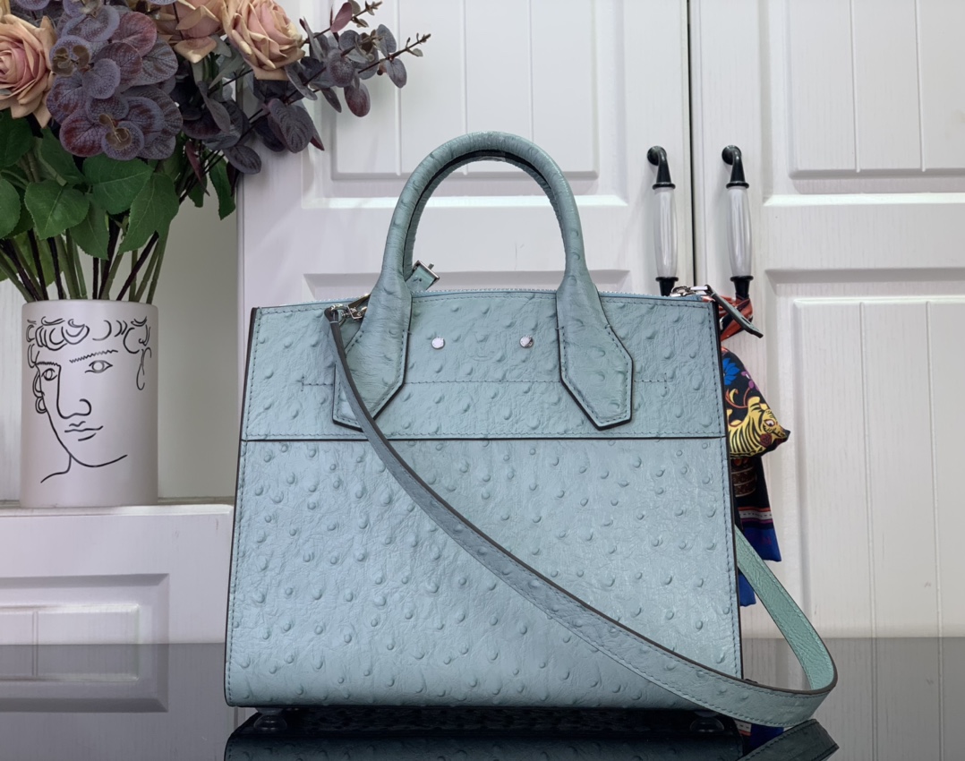 Louis Vuitton Basic Bag Cow Leather Blue M-l-s