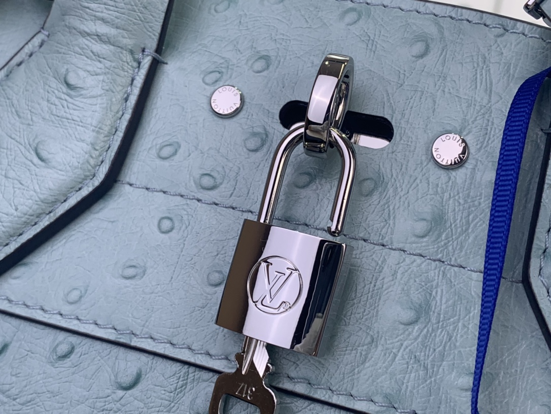 Louis Vuitton Basic Bag Cow Leather Blue M-l-s