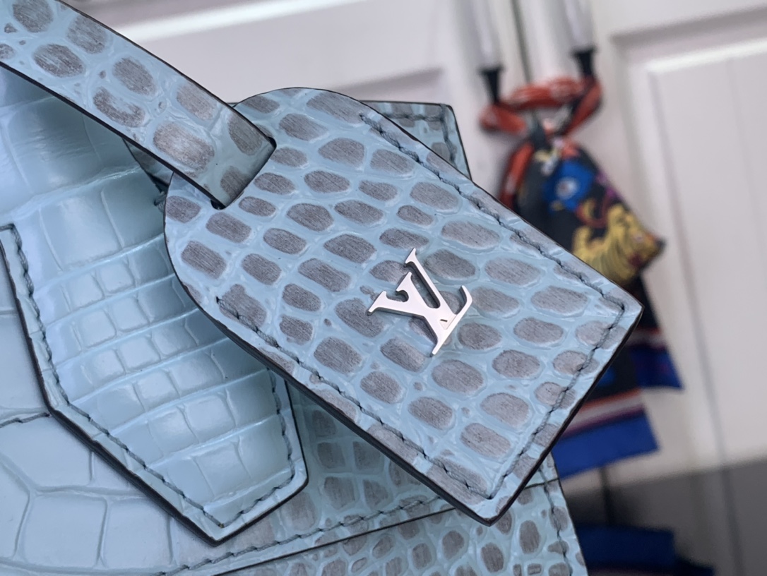 Louis Vuitton Basic Bag Cow Leather Blue M-l-s