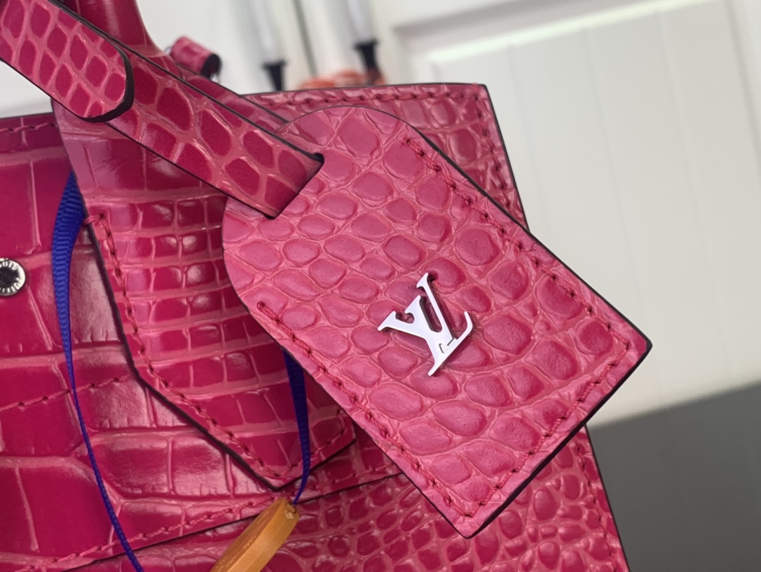 Louis Vuitton Basic Bag Cow Leather Red M-l-s