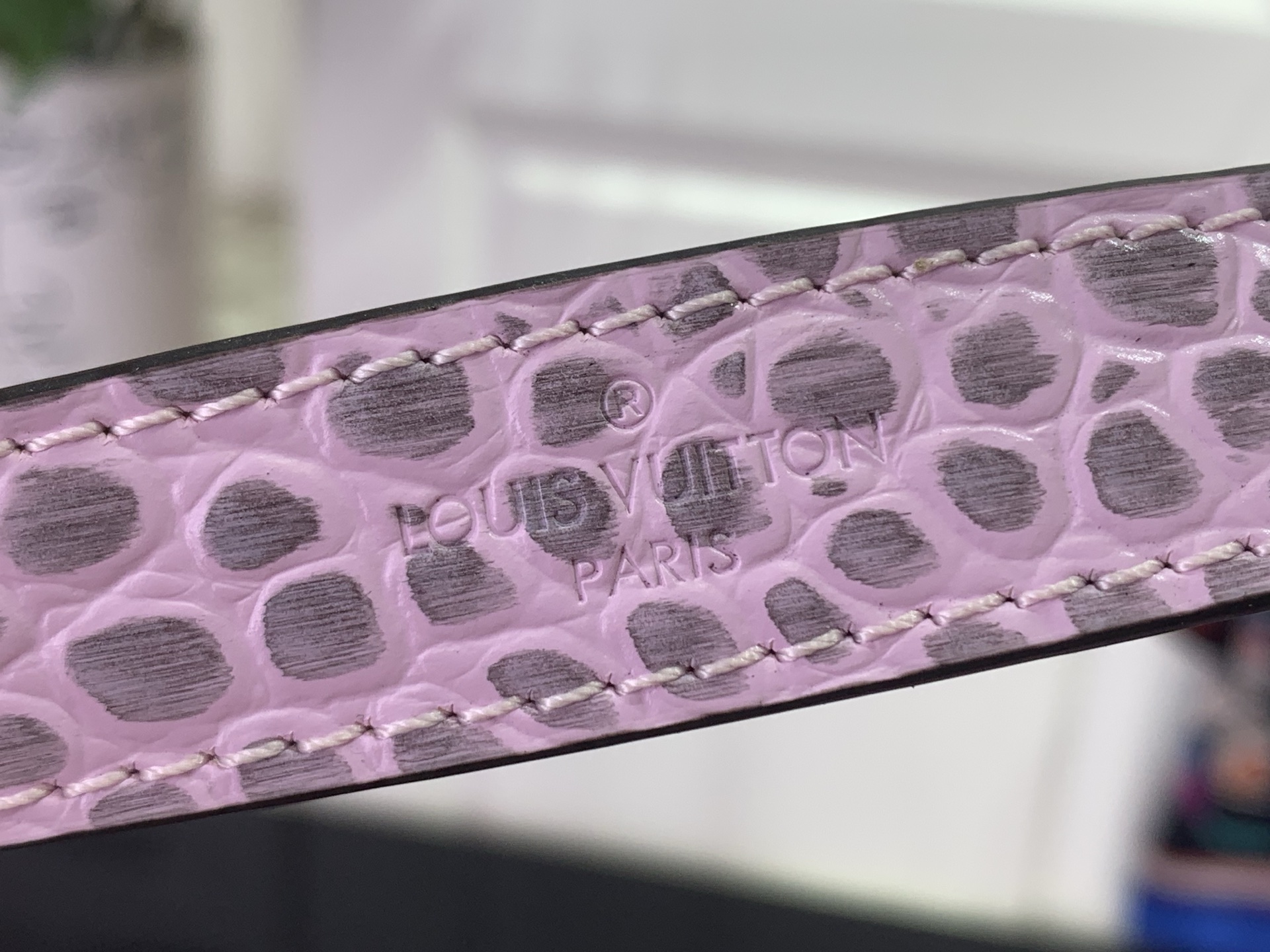 Louis Vuitton Basic Bag Cow Leather M-l-s