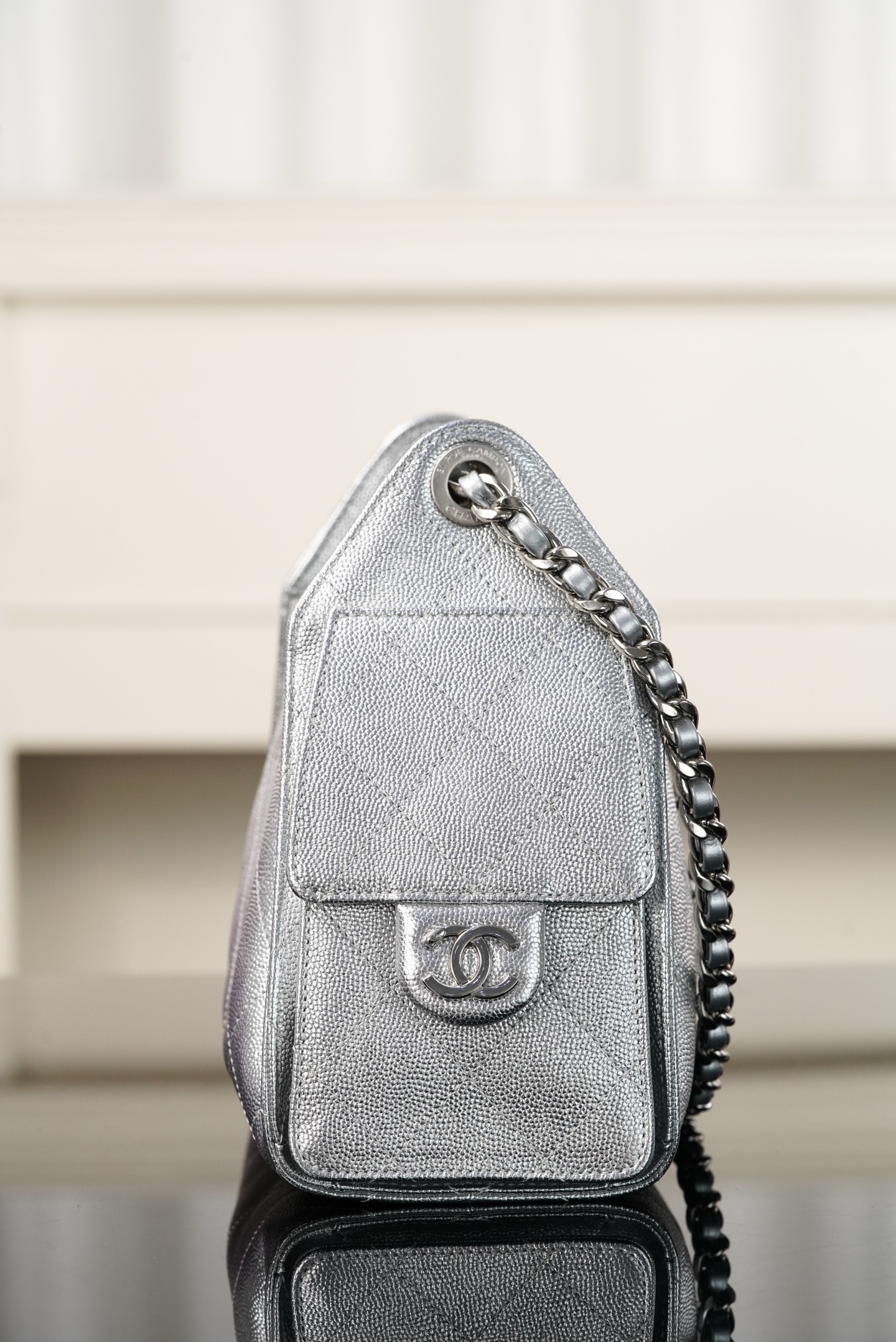 Basic Bag Silver Large Capacity