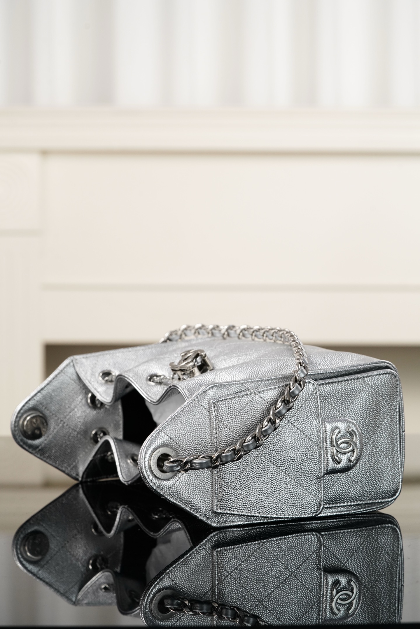 Basic Bag Silver Large Capacity