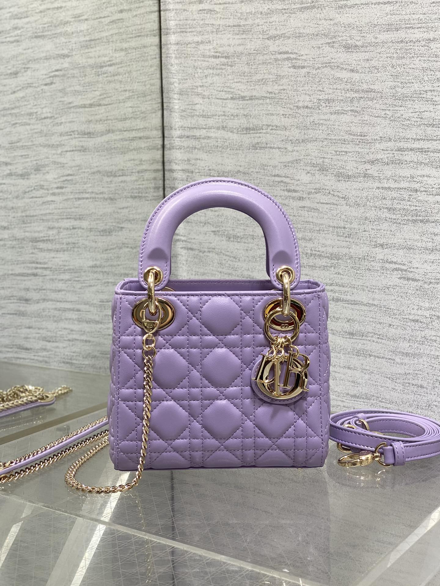 Chanel Female Basic Bag 15cm-l-s