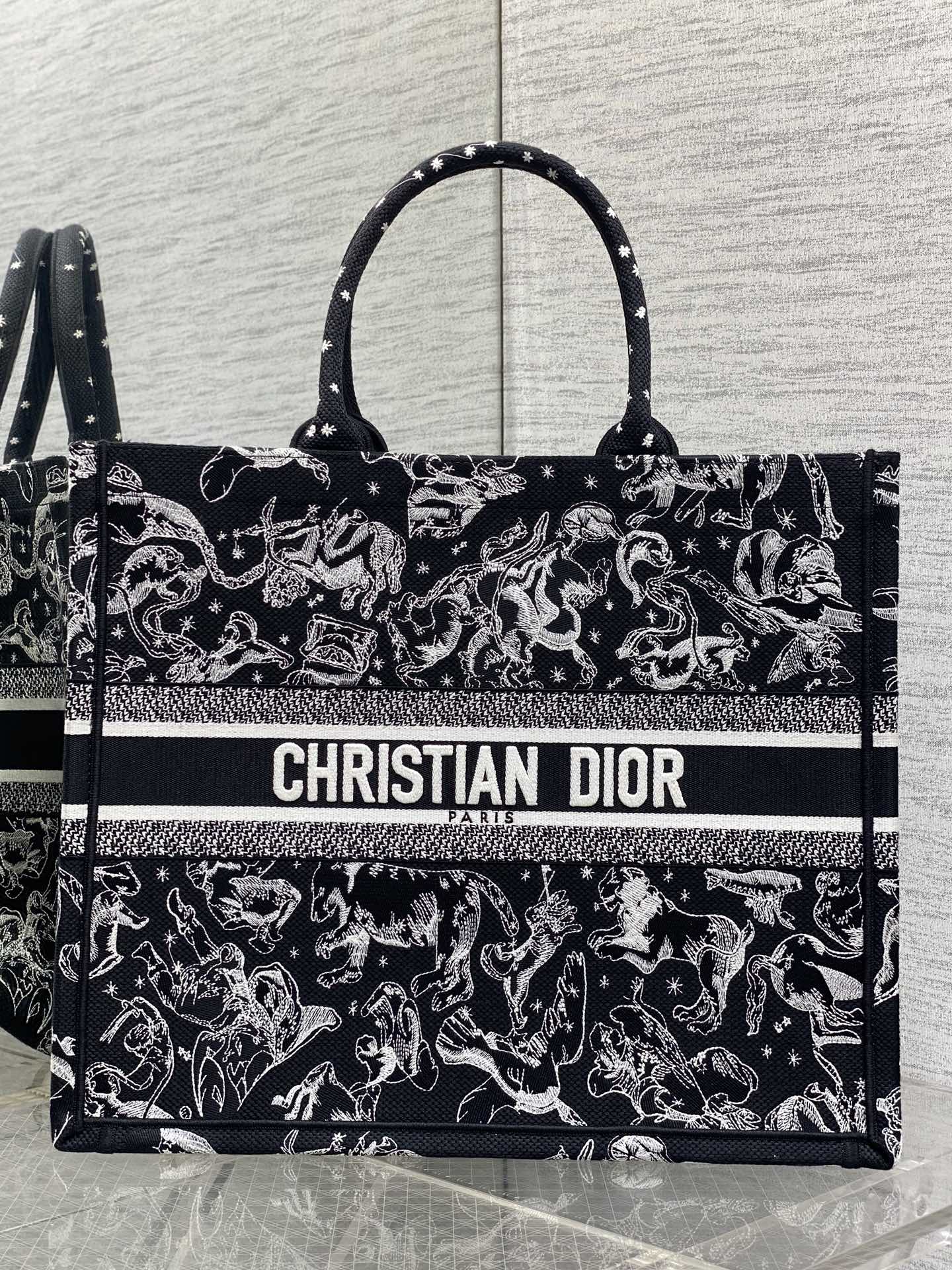 Dior Tote Bag Canvas 17cm-s