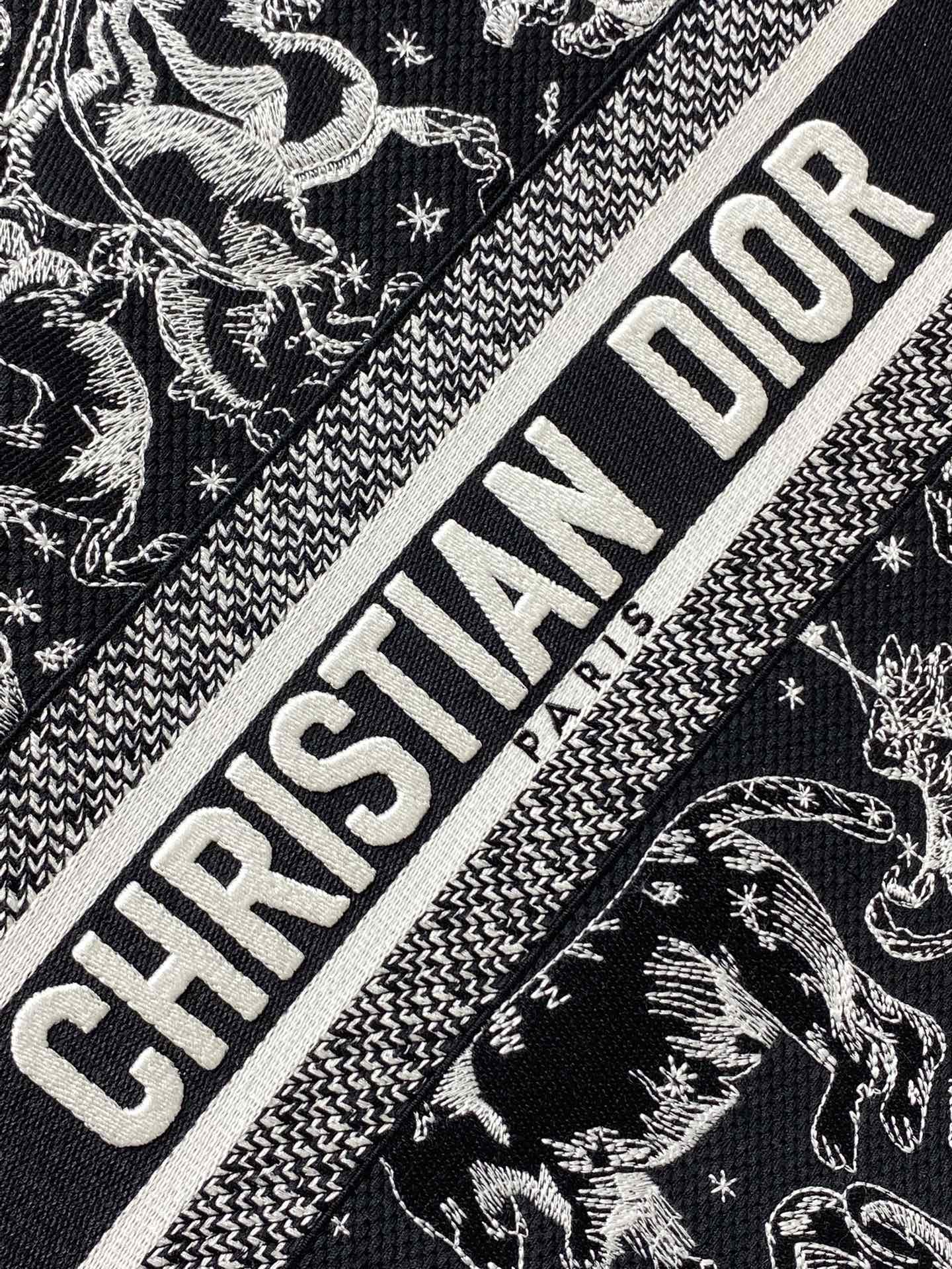 Dior Tote Bag Canvas 17cm-s