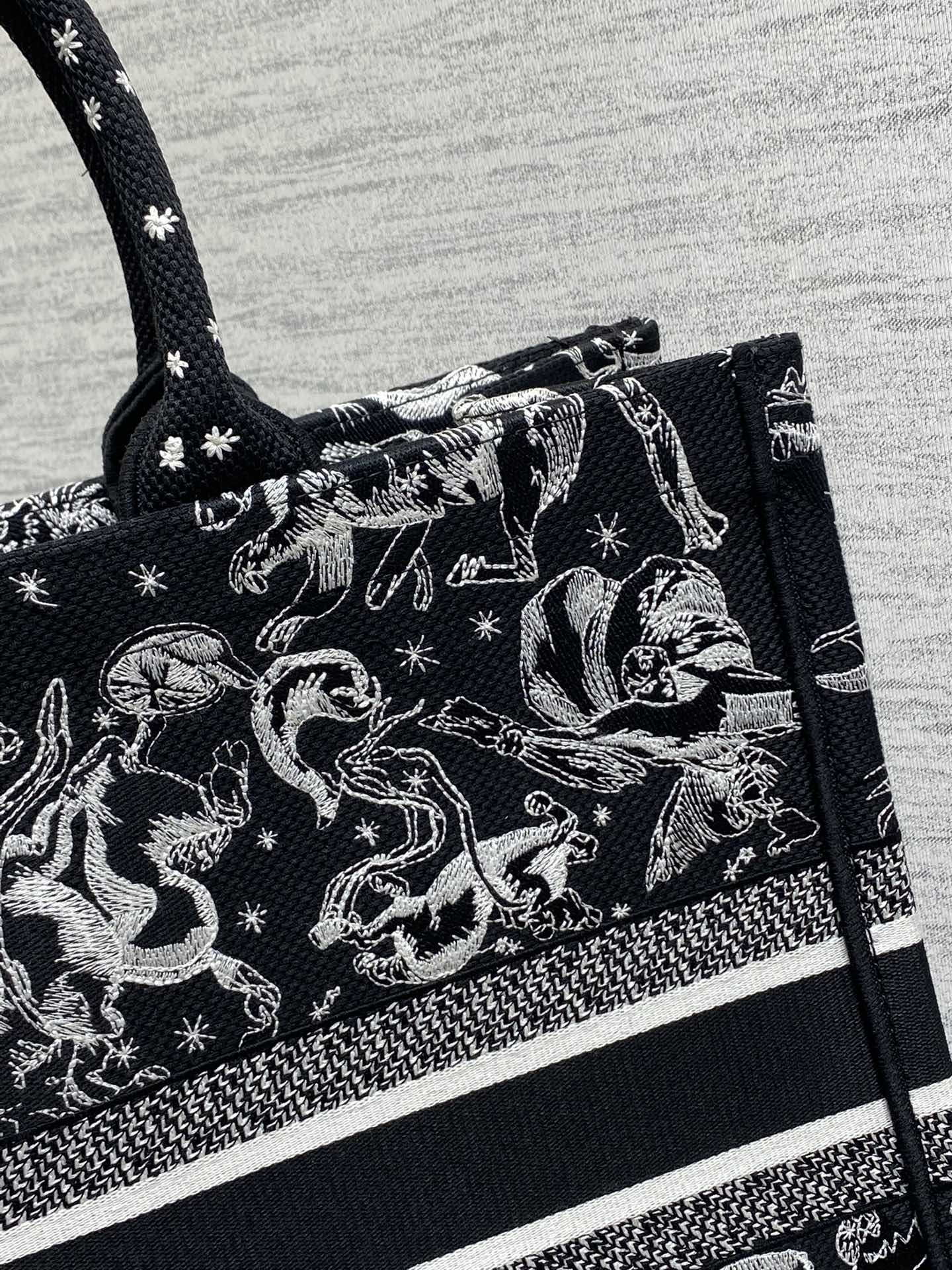 Dior Tote Bag Canvas 17cm-s