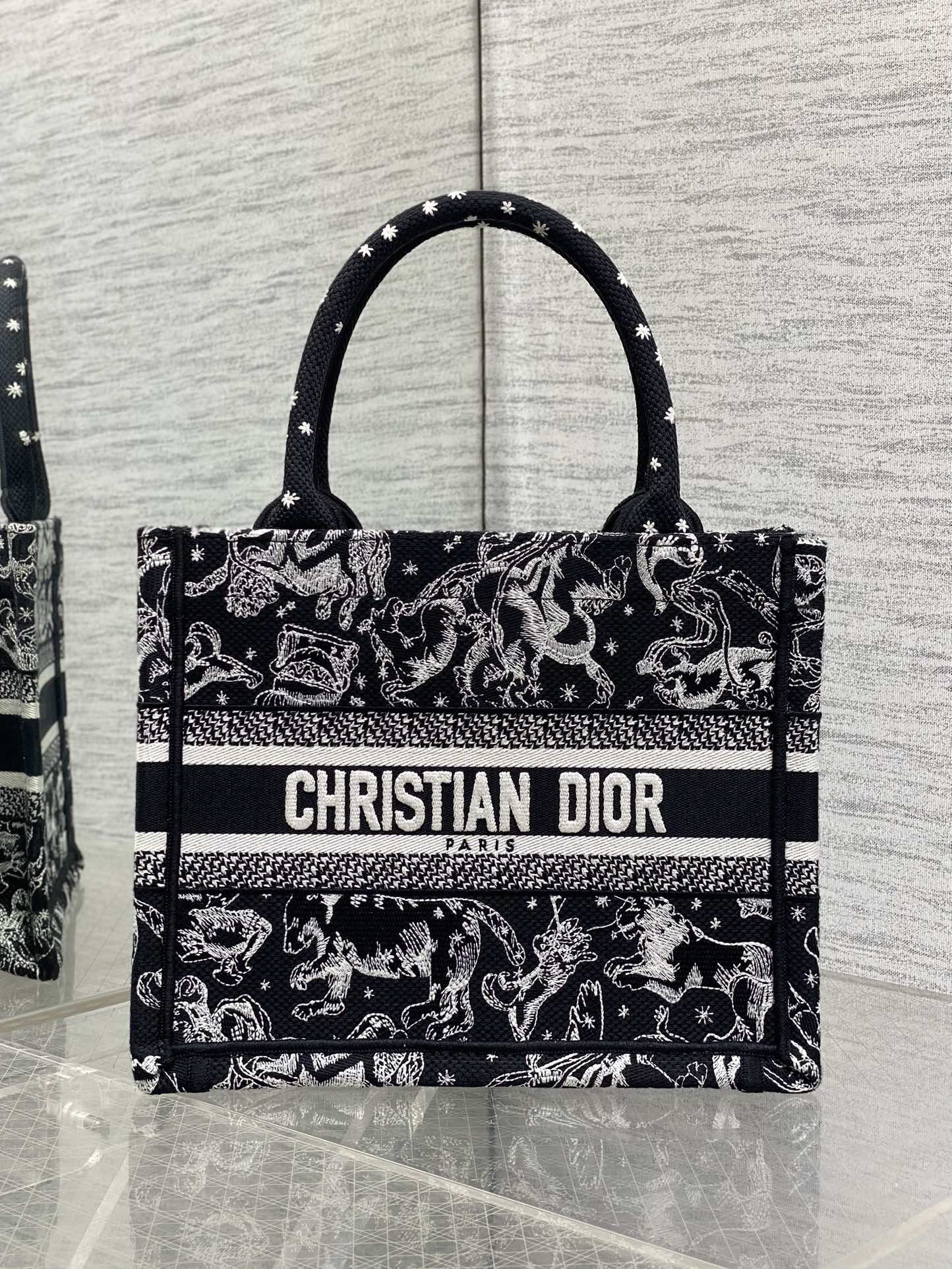 Dior Tote Bag Canvas M-s