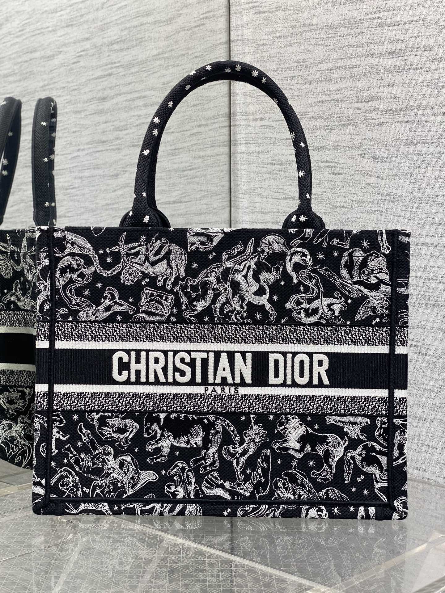 Dior Tote Bag Canvas M-s