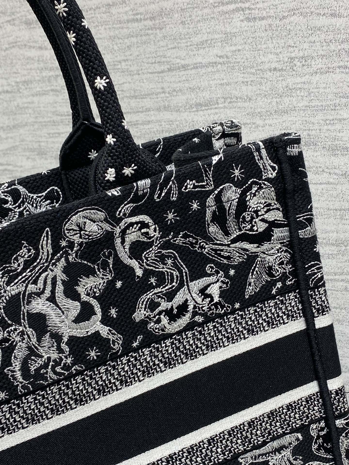 Dior Tote Bag Canvas M-s