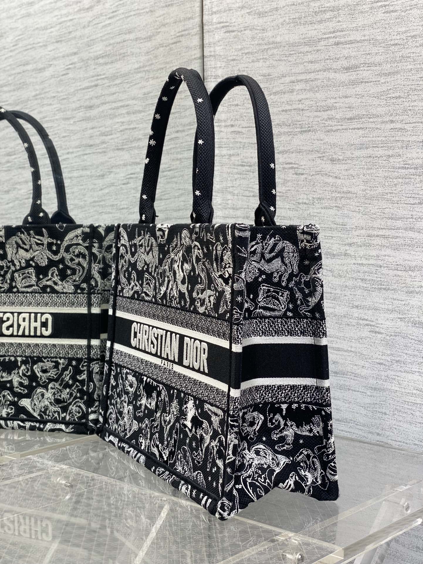 Dior Tote Bag Canvas M-s