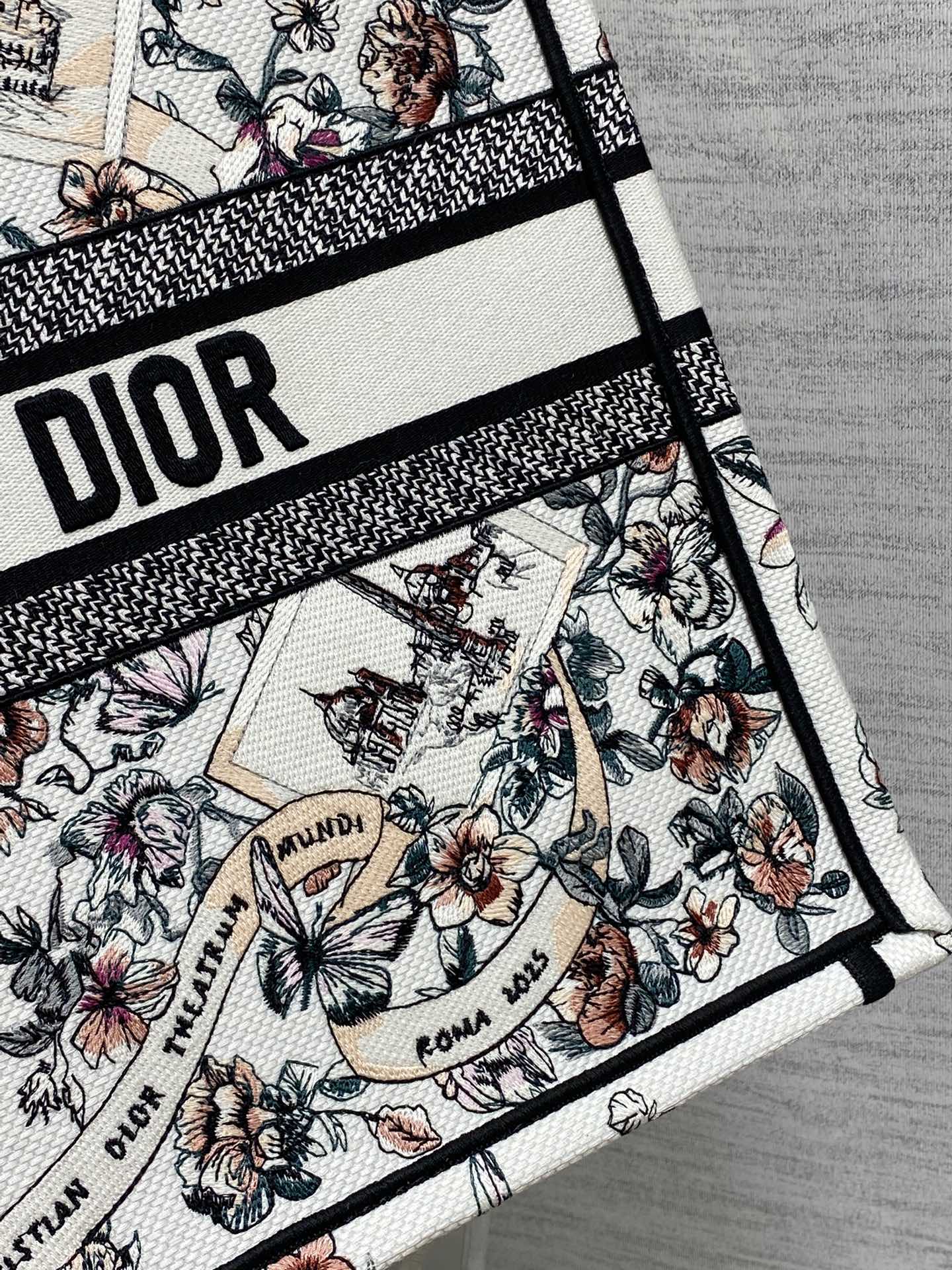 Dior Tote Bag Canvas 18cm-s