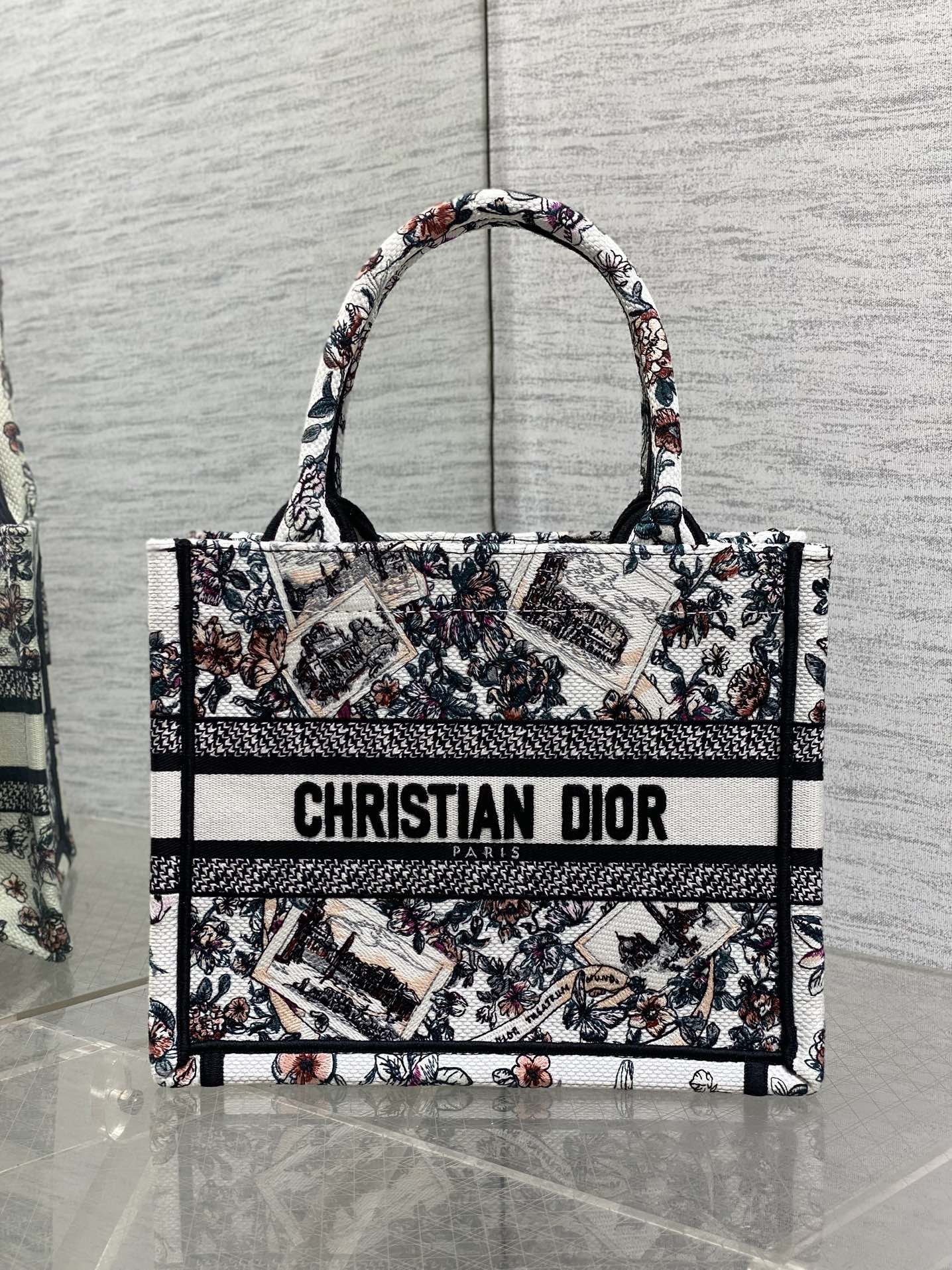 Dior Tote Bag Canvas S-22cm