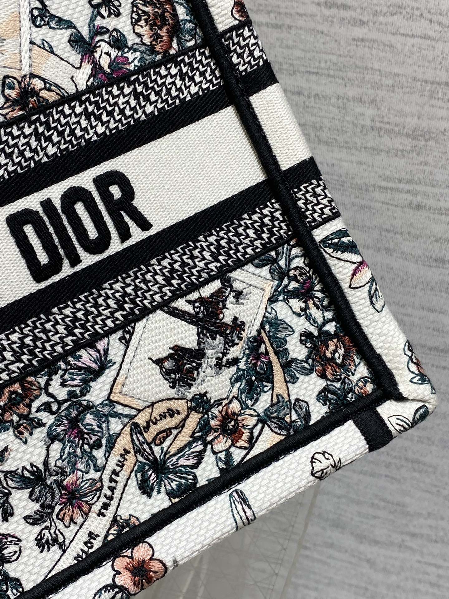 Dior Tote Bag Canvas S-22cm