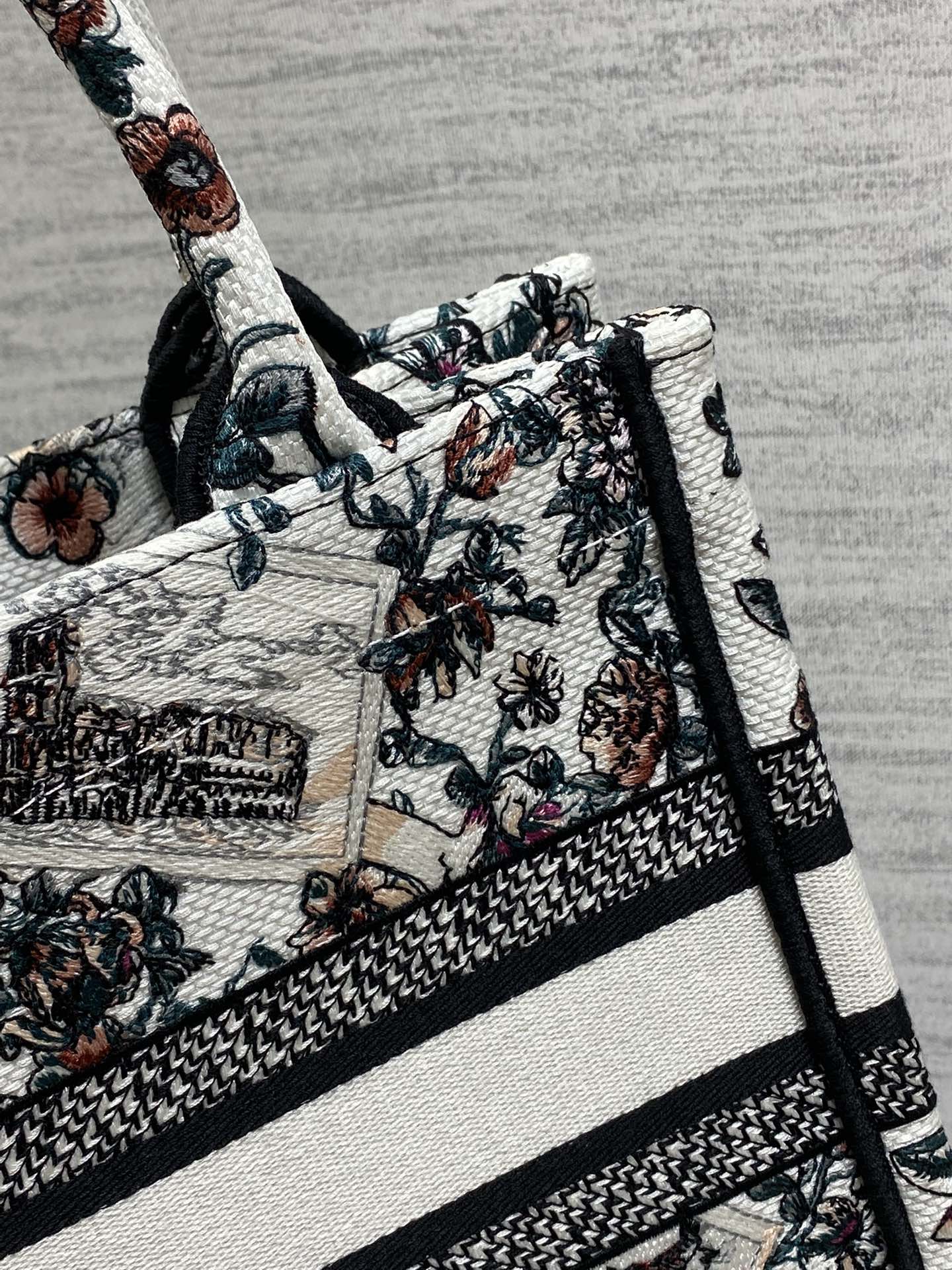 Dior Tote Bag Canvas S-22cm