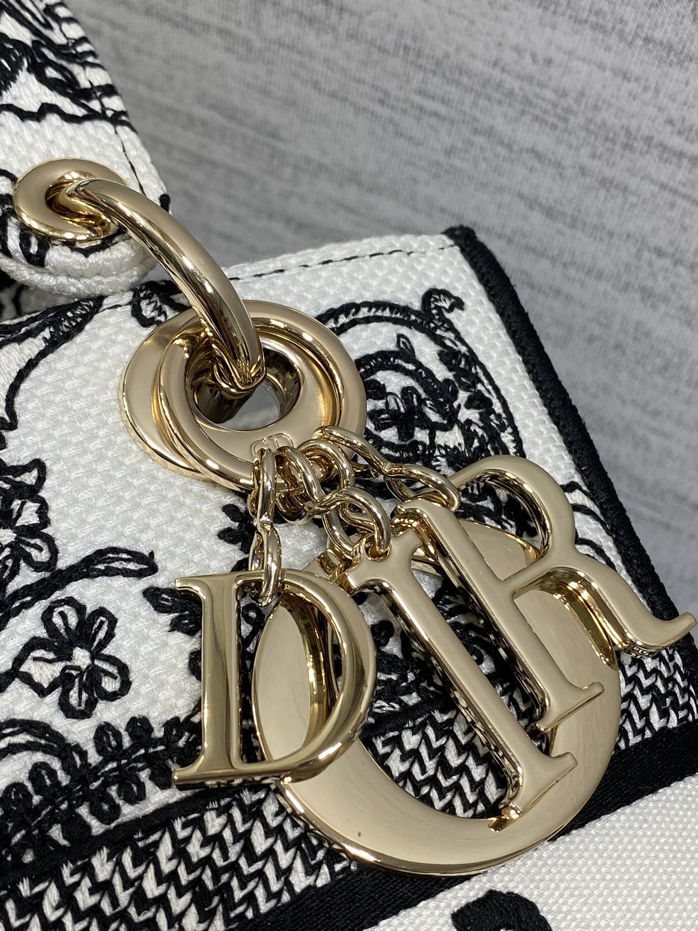 Dior Female Basic Bag Canvas Gold 20cm-l-s