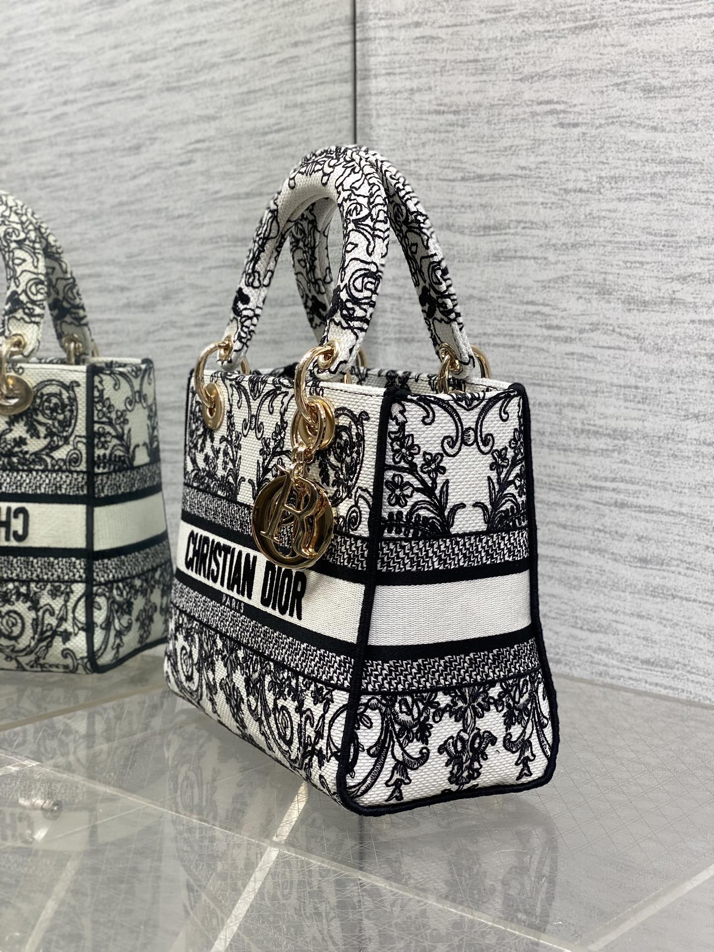 Dior Female Basic Bag Canvas Gold 20cm-l-s