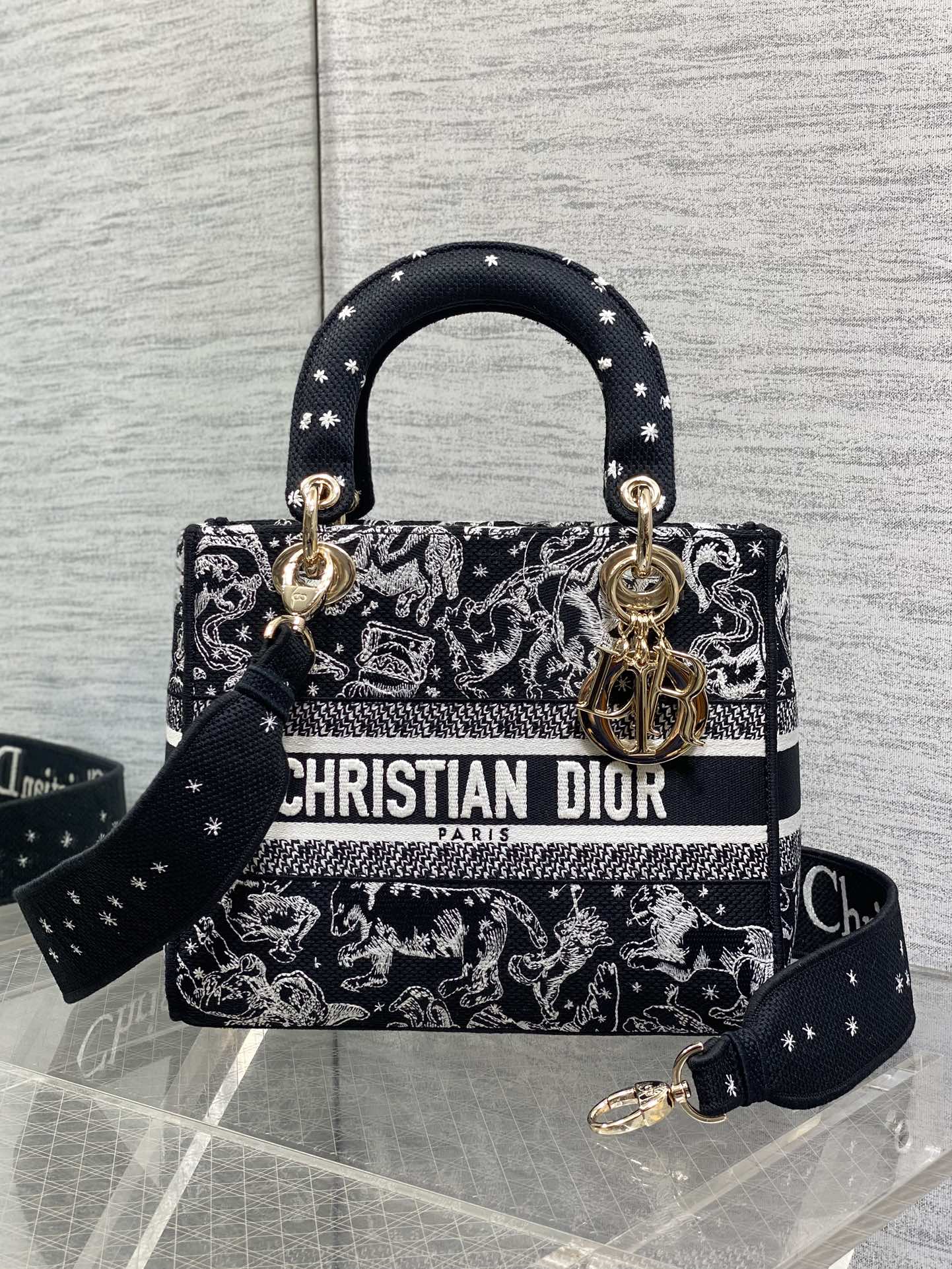 Dior Female Basic Bag Black 20cm-l-s