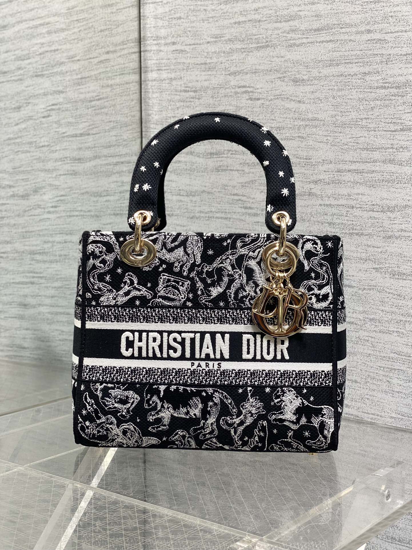 Dior Female Basic Bag Black 20cm-l-s