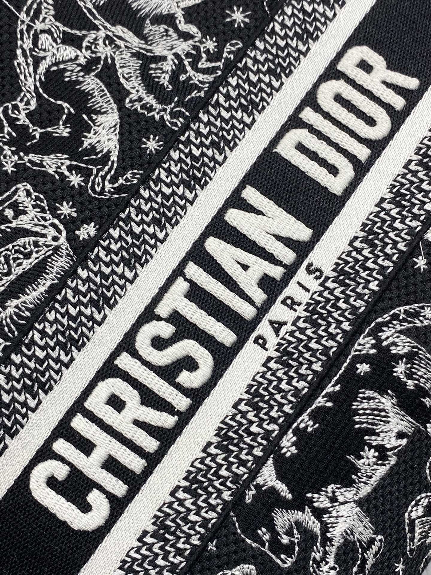 Dior Female Basic Bag Black 20cm-l-s