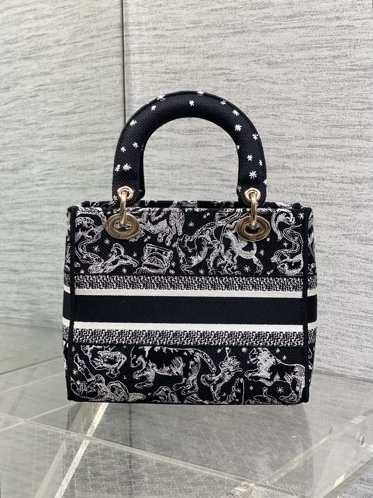 Dior Female Basic Bag Black 20cm-l-s