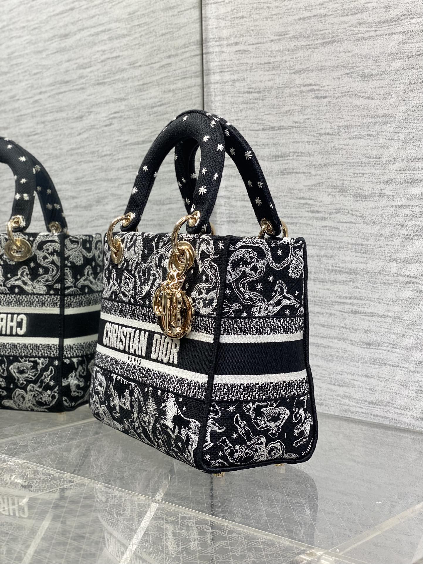 Dior Female Basic Bag Black 20cm-l-s