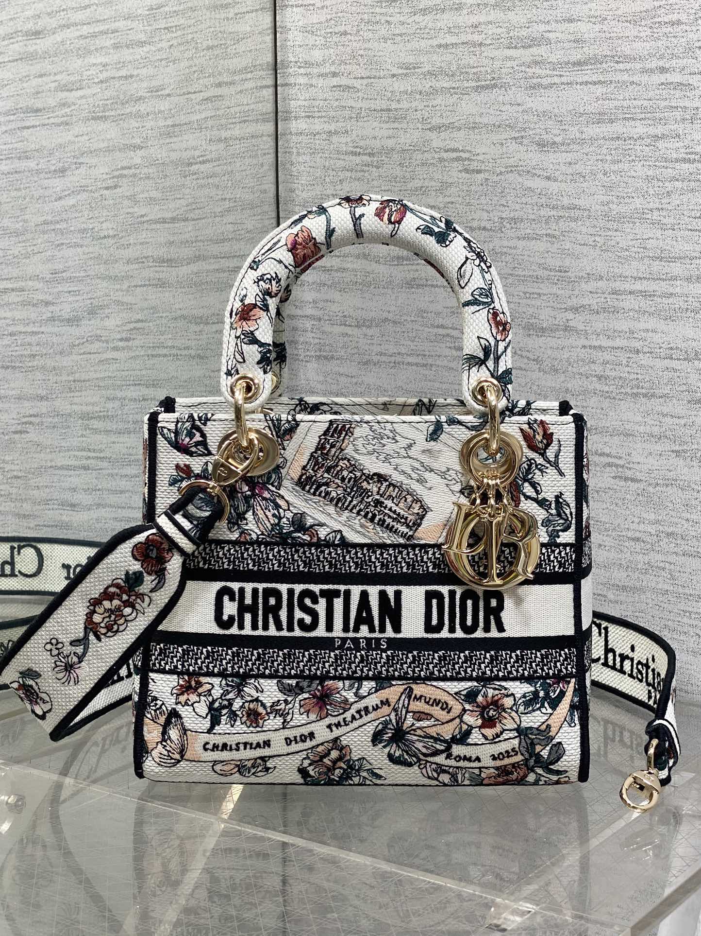 Dior Female Basic Bag Canvas White 20cm-m-l-s