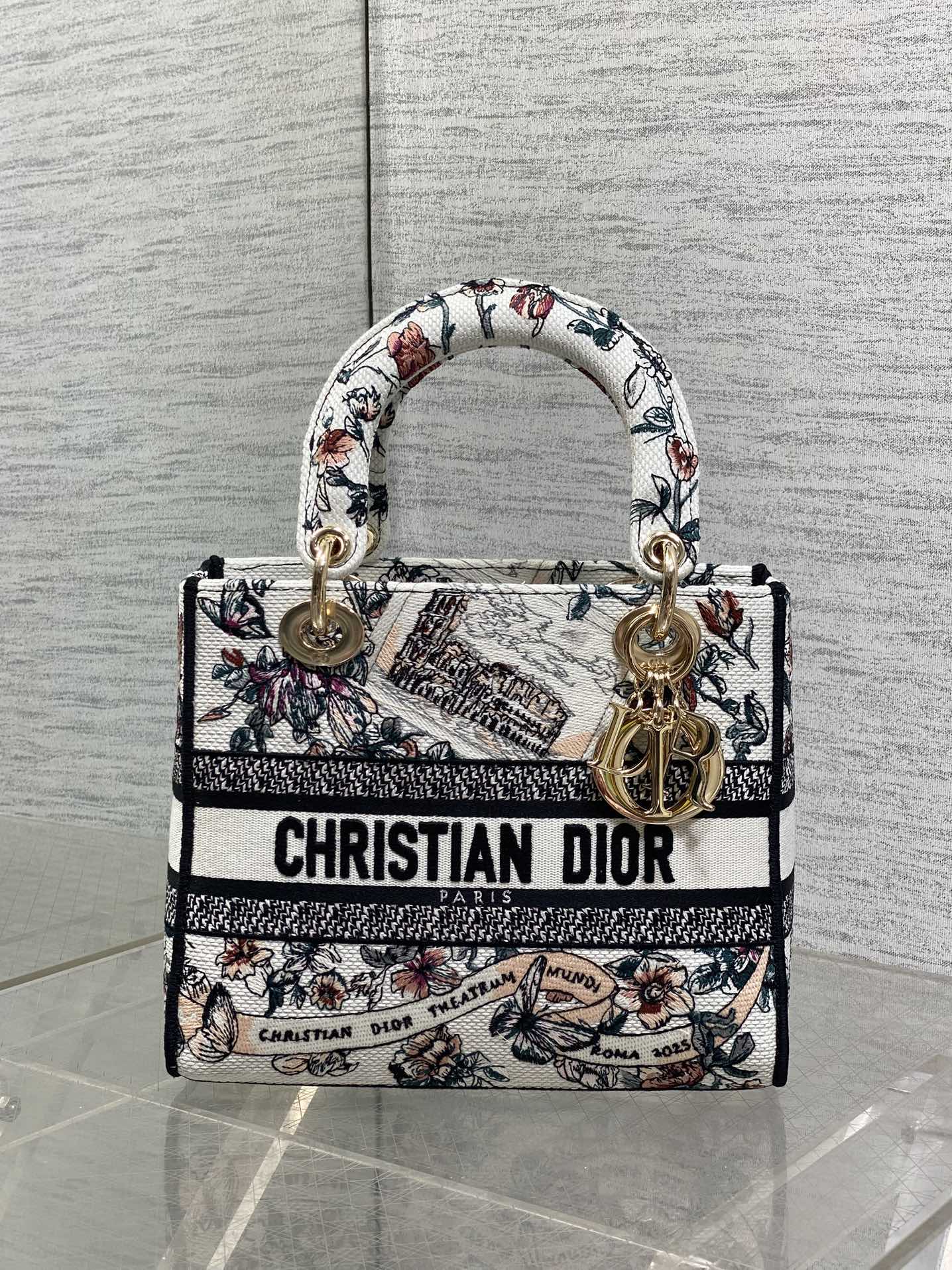 Dior Female Basic Bag Canvas White 20cm-m-l-s