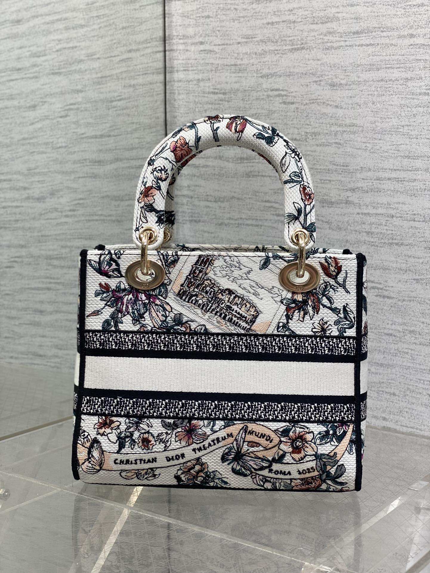 Dior Female Basic Bag Canvas White 20cm-m-l-s