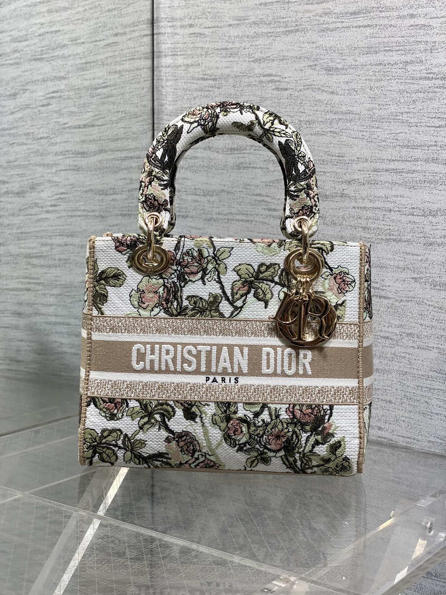 Dior Female Basic Bag Canvas Gold 20cm-l-s