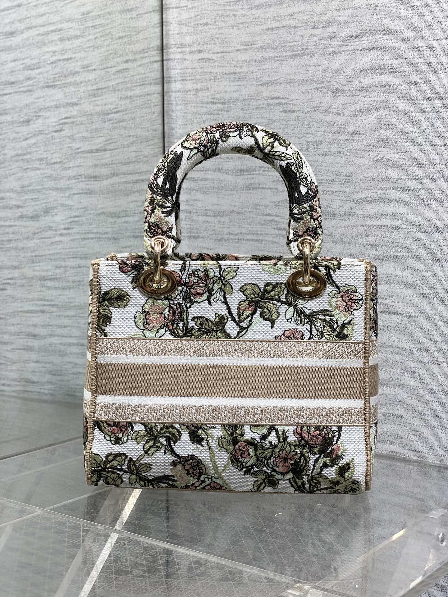 Dior Female Basic Bag Canvas Gold 20cm-l-s