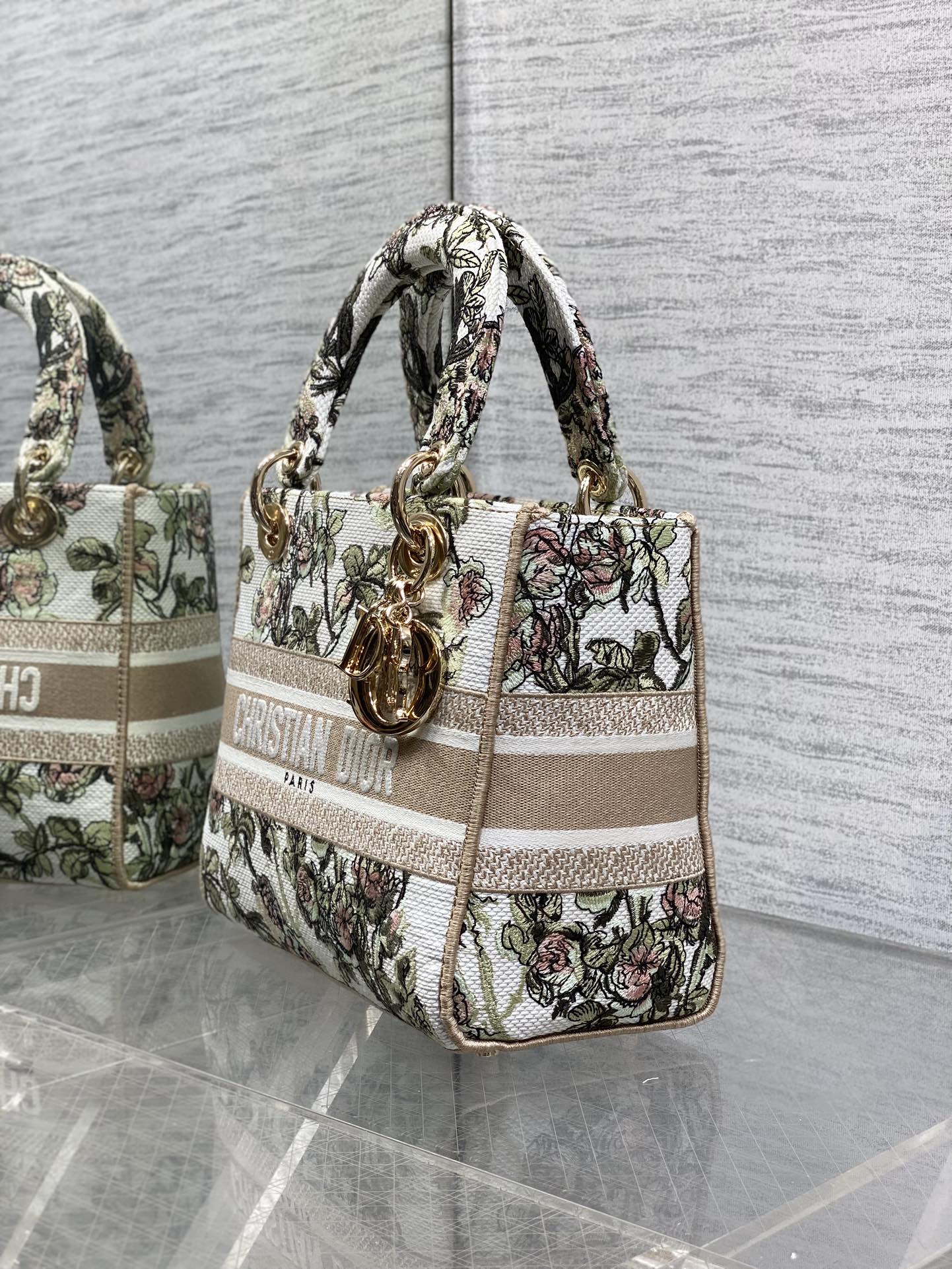 Dior Female Basic Bag Canvas Gold 20cm-l-s