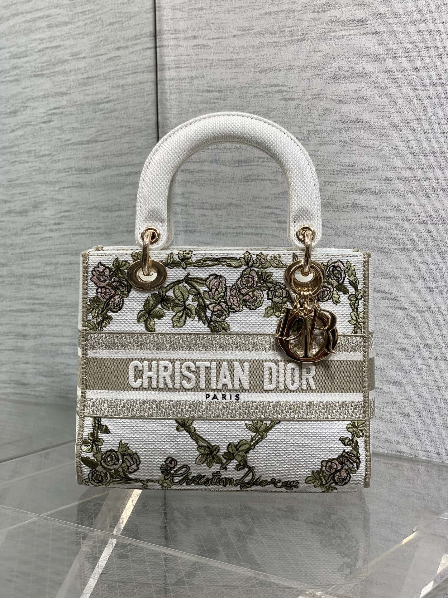 Dior Female Basic Bag Canvas Gold 20cm-l-s