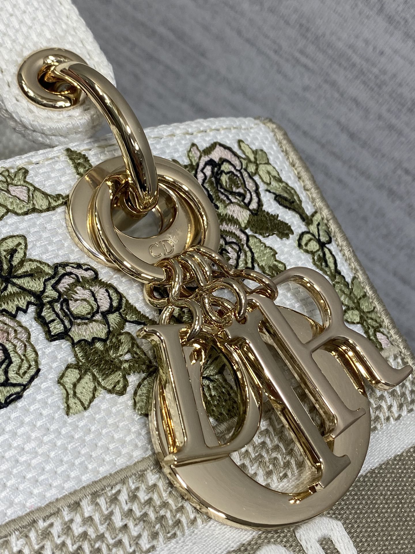 Dior Female Basic Bag Canvas Gold 20cm-l-s