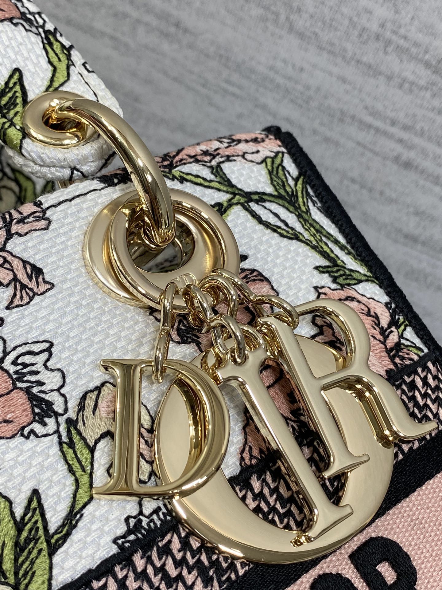 Dior Female Basic Bag Canvas Gold 20cm-l-s