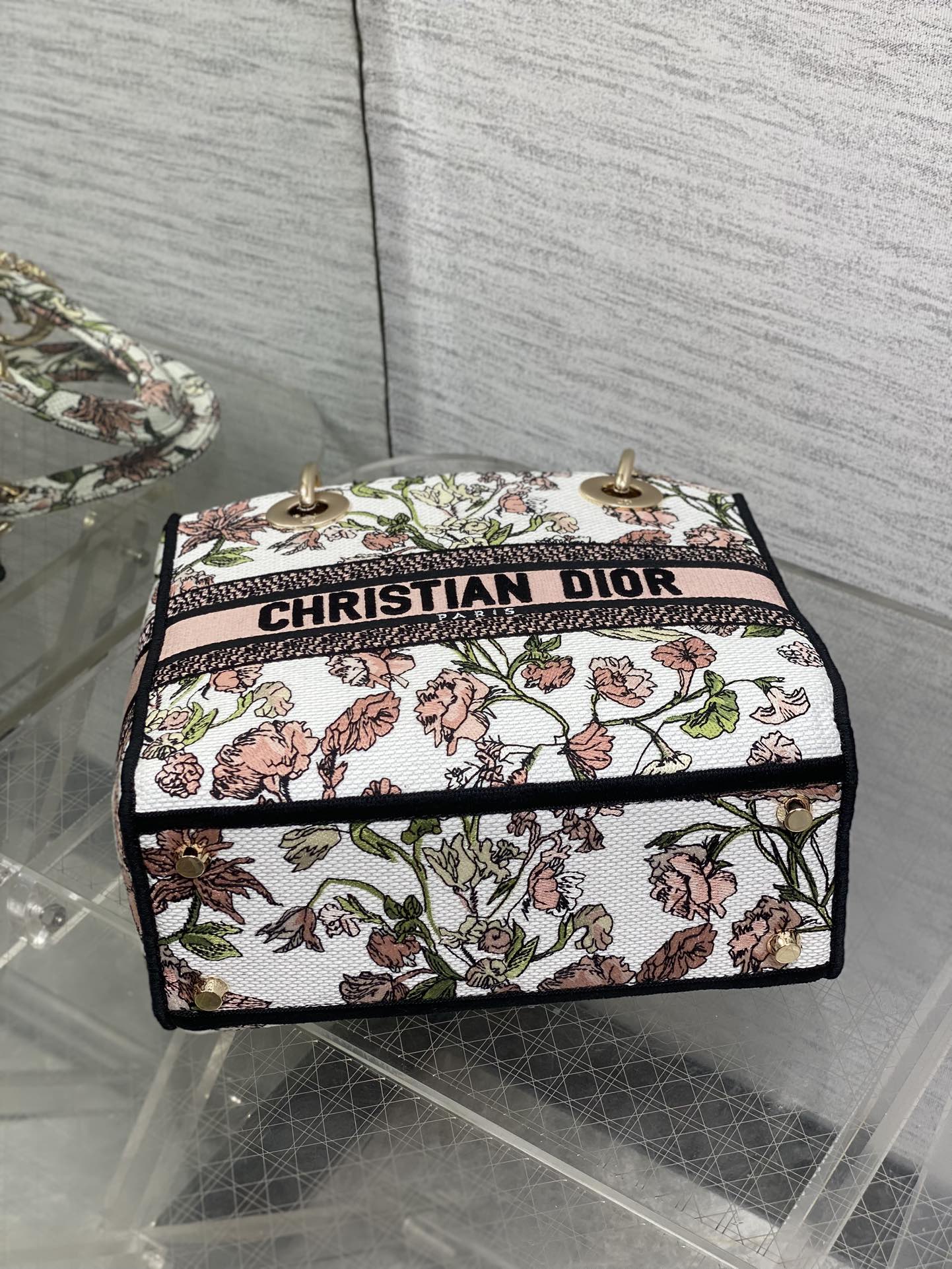 Dior Female Basic Bag Canvas Gold 20cm-l-s