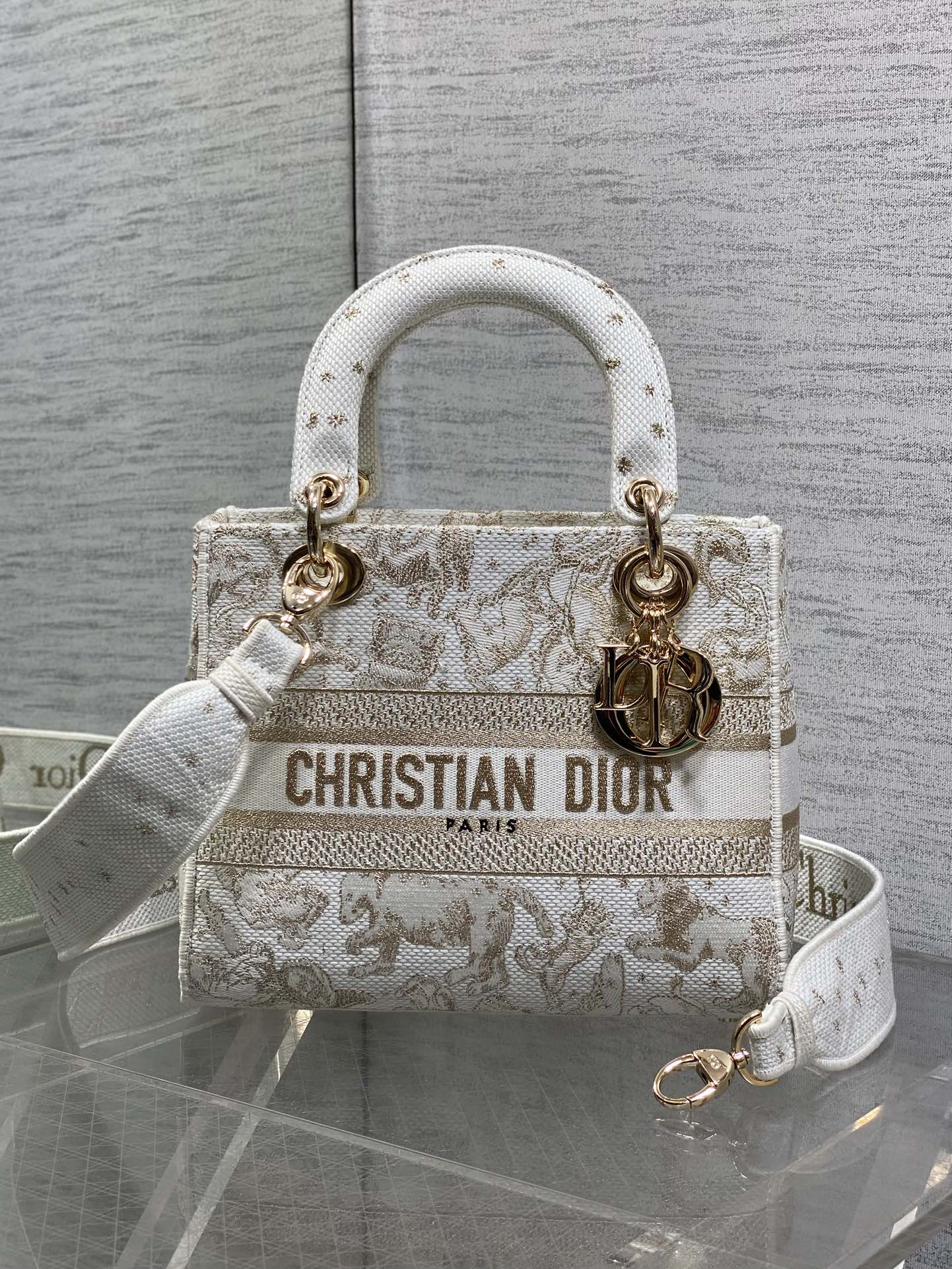 Dior Female Basic Bag Canvas White 20cm-24cm-l-s
