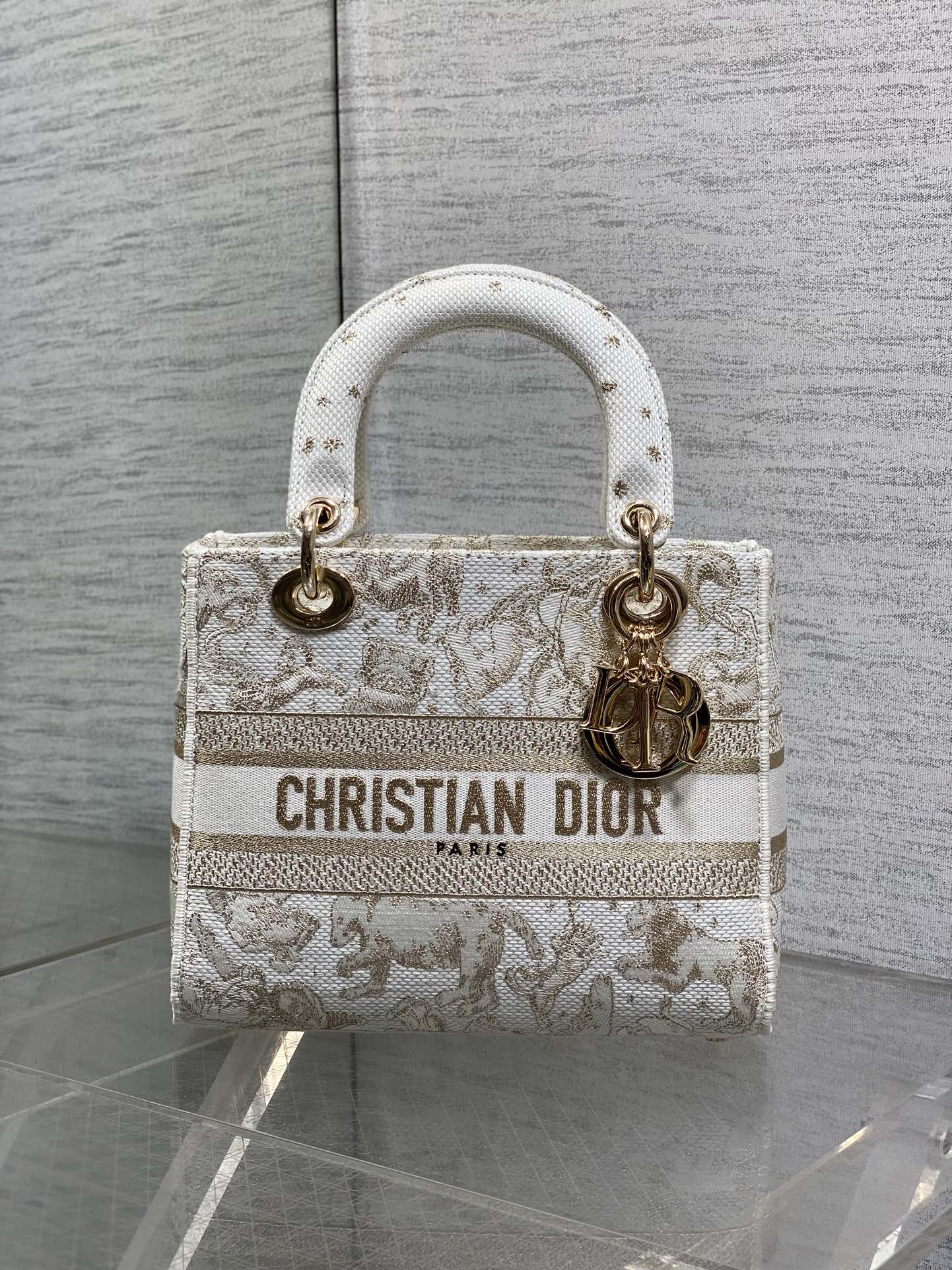 Dior Female Basic Bag Canvas White 20cm-24cm-l-s