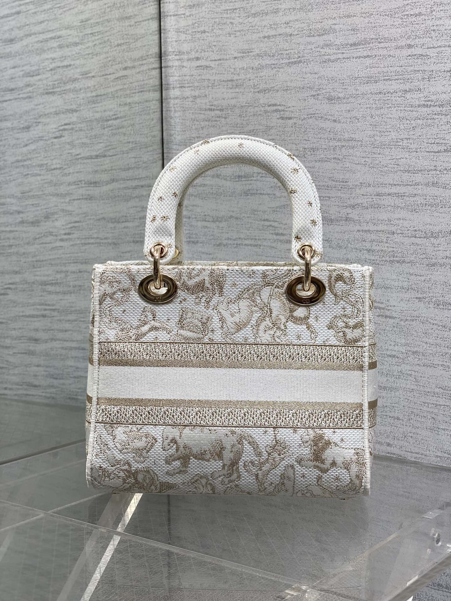 Dior Female Basic Bag Canvas White 20cm-24cm-l-s