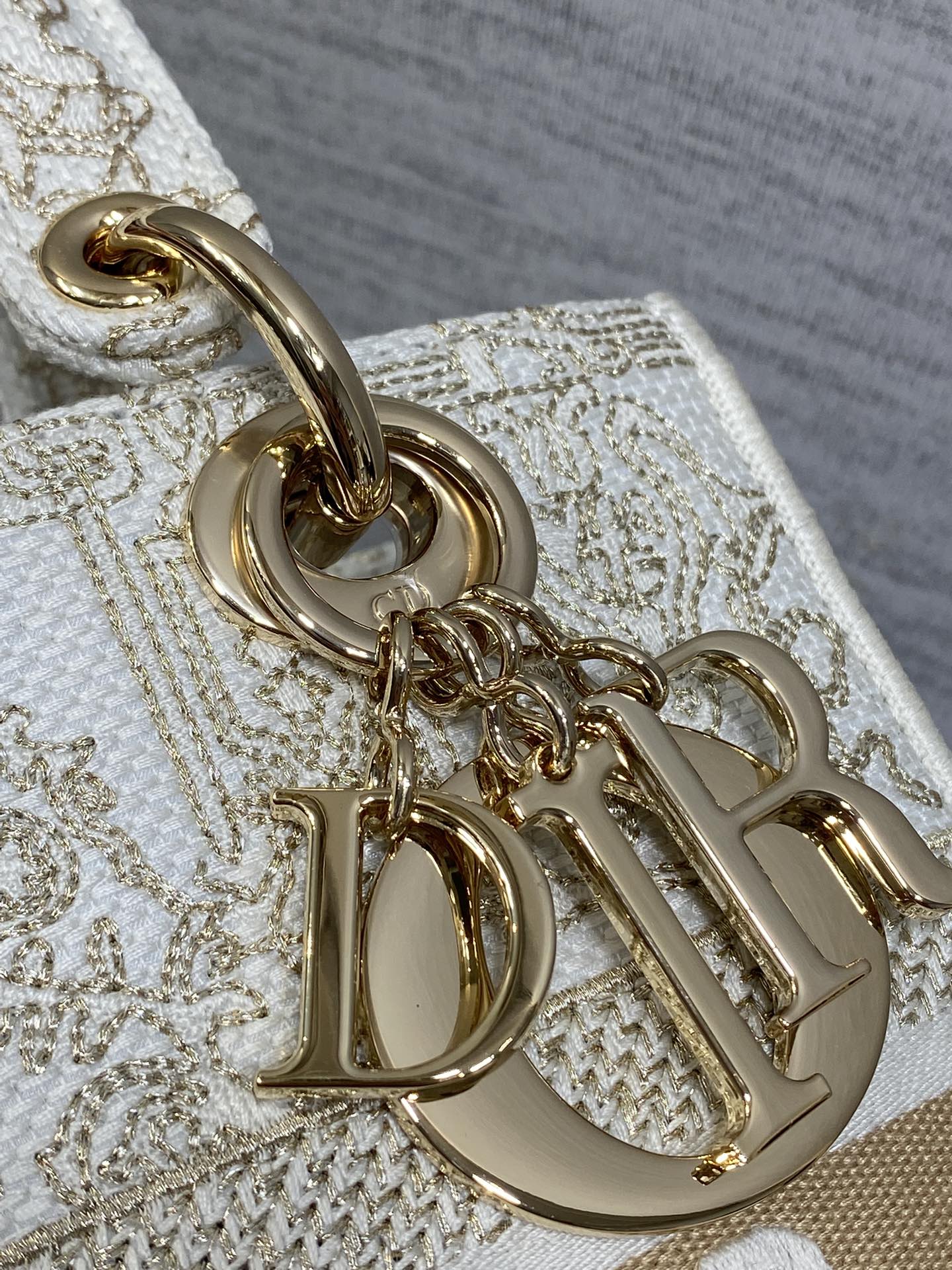 Dior Female Basic Bag Canvas White 20cm-24cm-l-s