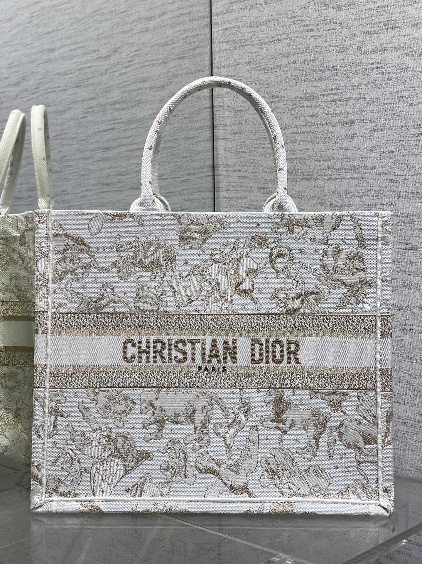 Dior Basic Bag Canvas Gold 17cm-s