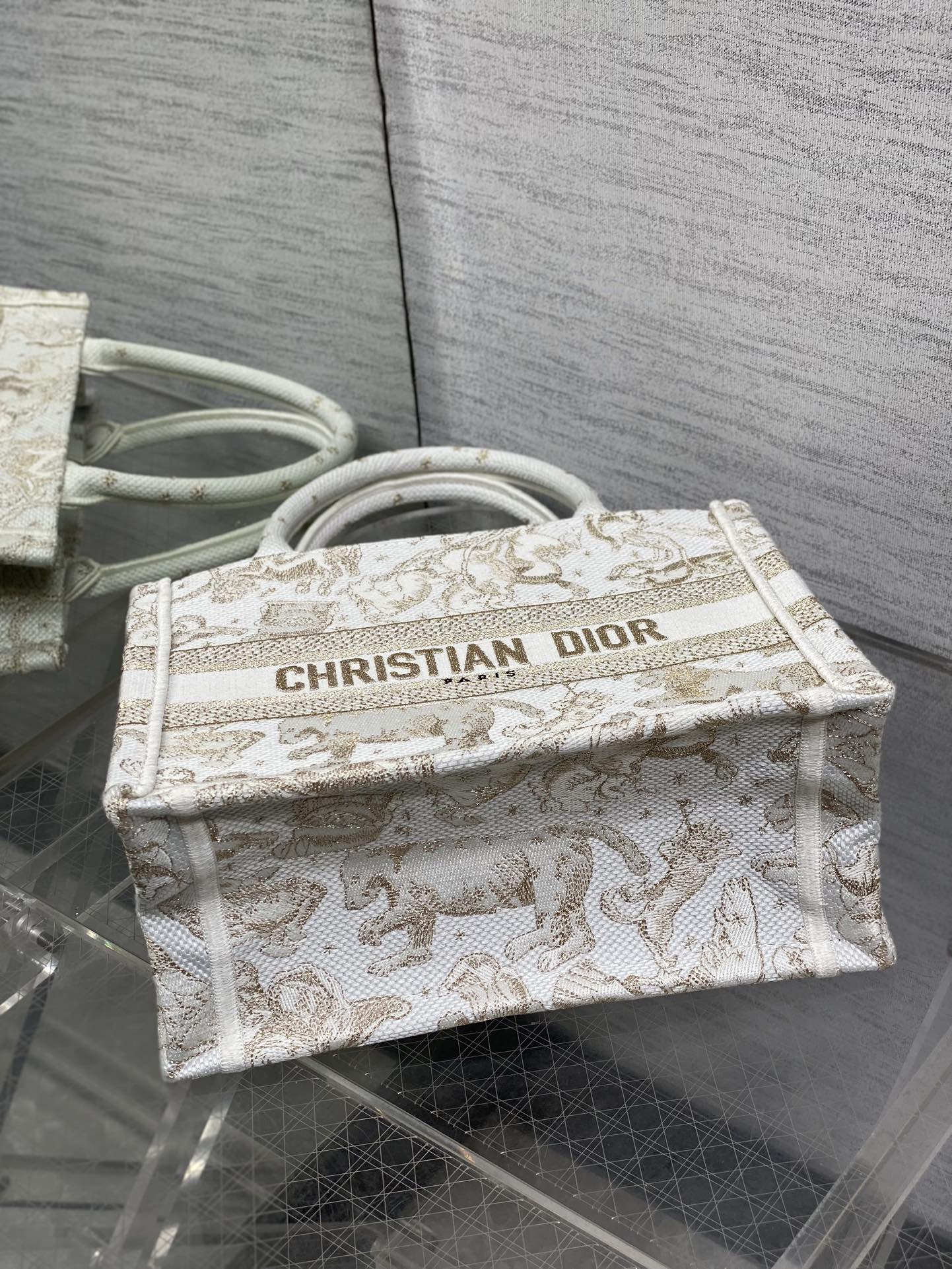 Dior Basic Bag Canvas Gold M-s