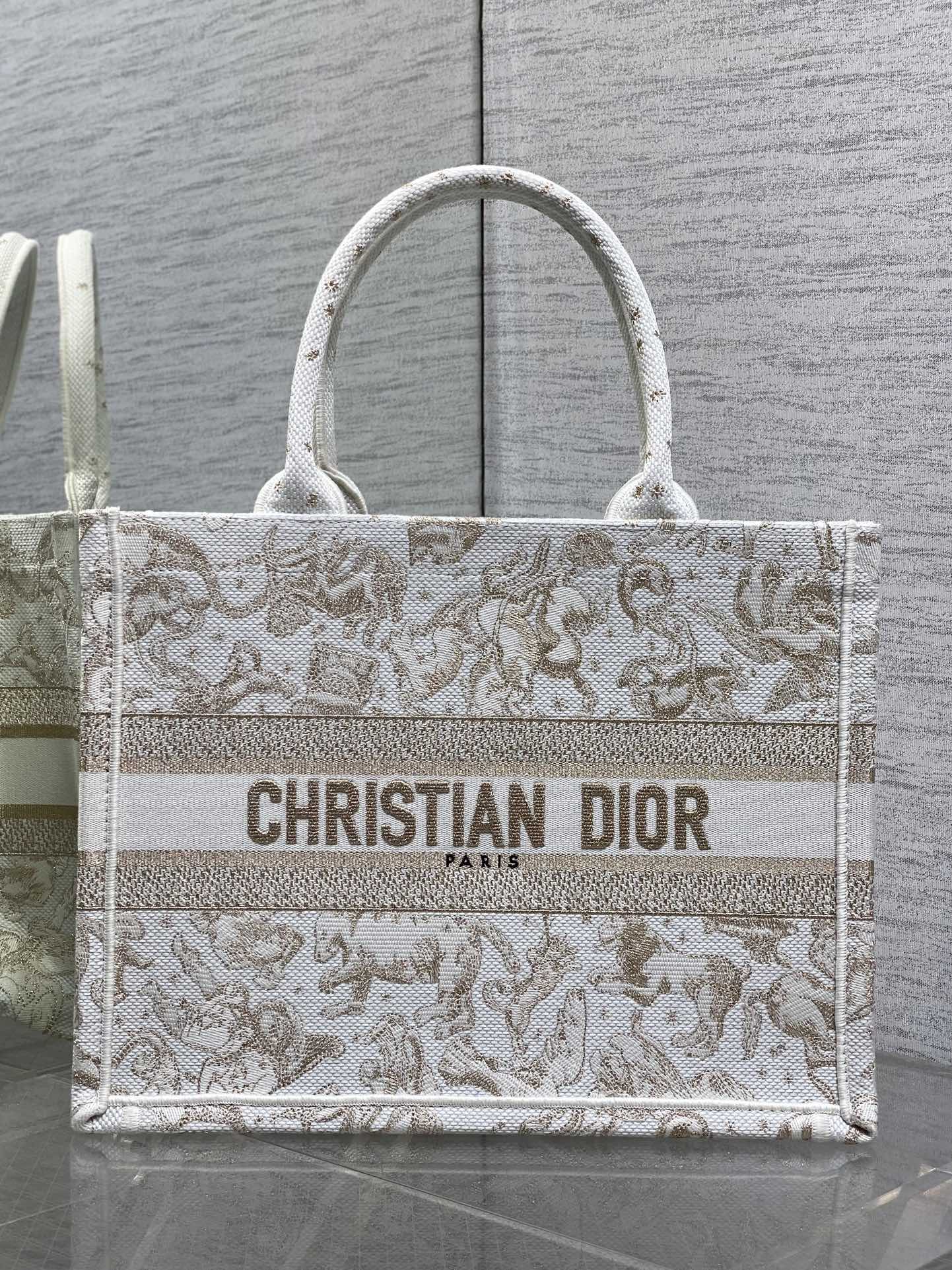 Dior Basic Bag Canvas Gold M-s
