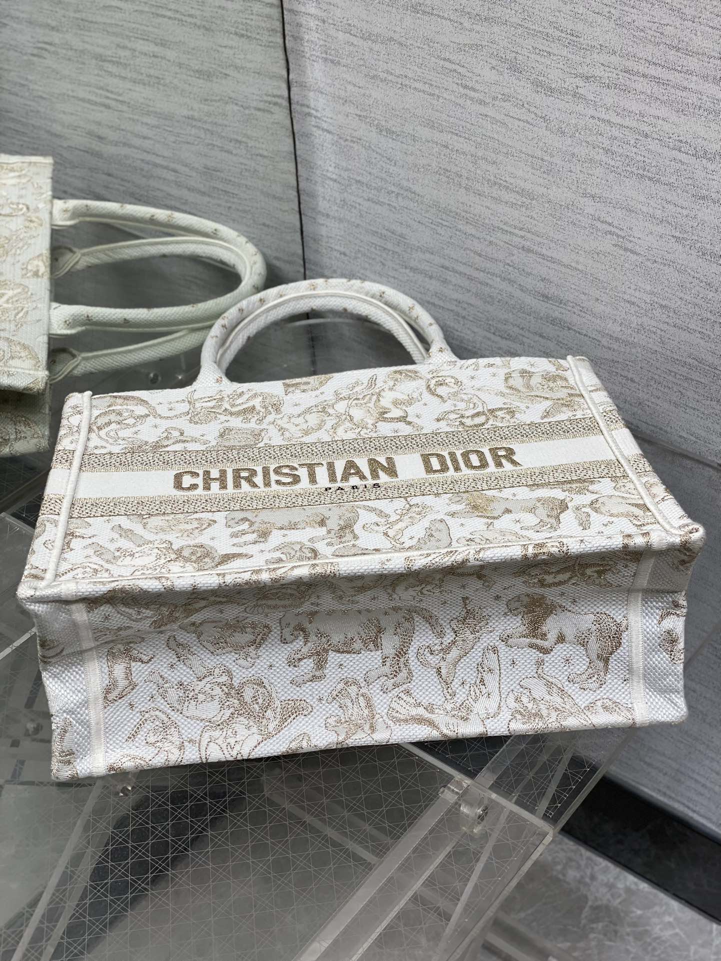 Dior Basic Bag Canvas Gold M-s