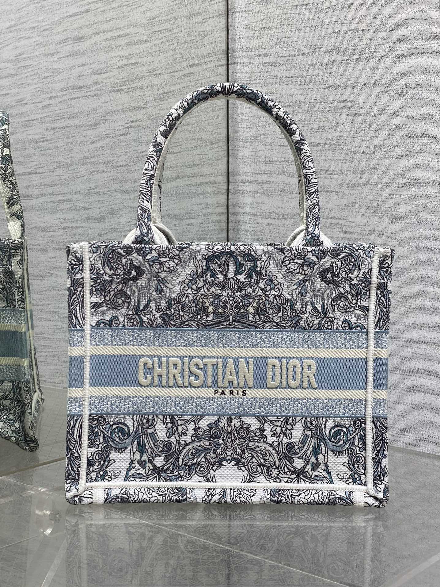 Dior Tote Bag Blue 22cm-l-s